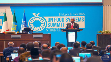 UN na nchi za Afrika zakutana Ethiopia kutathmini hali ya mabadiliko ya mifumo ya chakula duniani