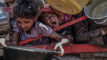 گرسنگی و هرج‌ومرج در غزه