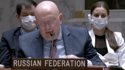 Посол России в ООН: Необходимо прекратить осаду сектора Газа
