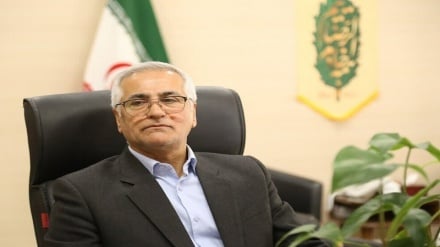 تعمیم رفتار  افرادی معدود به جامعه نجیب مهاجران افغانستانی بی‌انصافی است