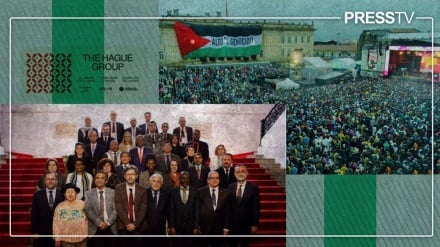 Sababu za Kundi la The Hague kusimamisha biashara ya kijeshi na utawala wa kizayuni