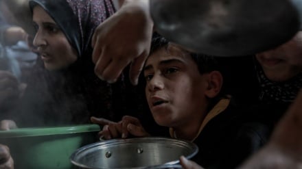 WFP's chief operating officer: People in Gaza dying while searching for food