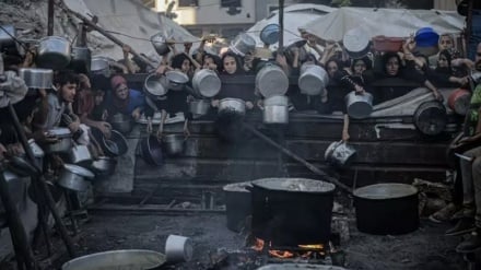 به نام گرسنگی، به کام جنگ