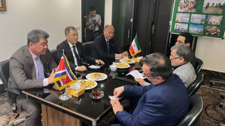 دیپلمات ارشد کره شمالی: در صورت نقض آتش‌بس، در کنار ایران هستیم 