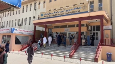 تداوی ۱۰۰ مریض مبتلا به سرطان پوست در شفاخانه حوزوی بلخ