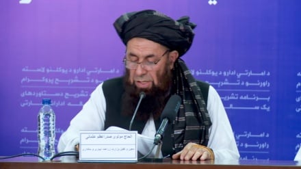 طالبانو د نشه یي توکو کښت او تولید پرخلاف د بدیل معیشت پنځه کلنه کړنلاره وړاندې کړه