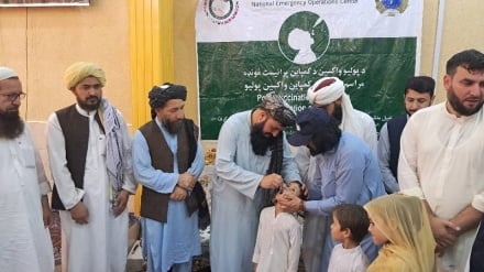 ننگرهار کارزار مبارزه با فلج اطفال را آغاز کرد