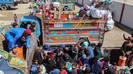 په پاکستان کې افغان کډوال د پراخې اېستنې له ګواښ سره مخ دي