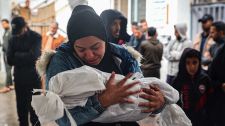 فعال حوزه فلسطین: نبرد نابرابر در غزه/ سکوت در قبال نسل‌کشی فلسطینیان همسویی با قاتل است