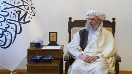 اعلام آمادگی کمیساریای پناهندگان سازمان ملل متحد برای رسیدگی به وضعیت مهاجران افغانستانی بازگشته به کشور