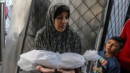 71 Palestinians martyred in Gaza over past 24 hours