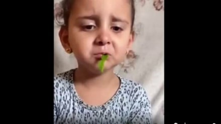 Familia ya Kipalestina yalazimika kula majani ya mti kutokana na kukosa chakula