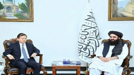 تأکید حکومت طالبان بر ادامه سیاست گسترش همکاری با چین