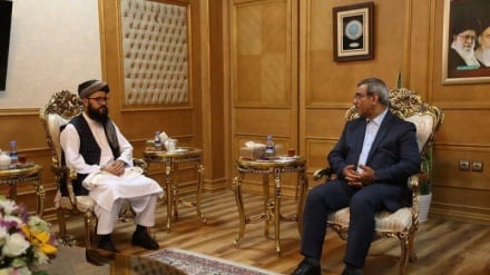Iran-Afghanistan joint free trade zone to help balance bilateral trade