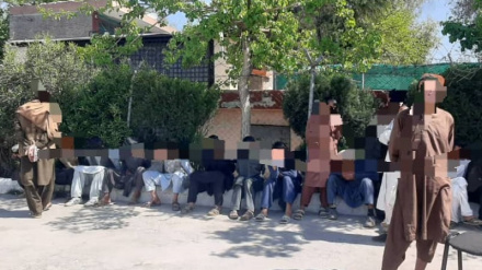 ادامه اقدامات پولیس ننگرهار برای جمع آوری و تداوی معتادان