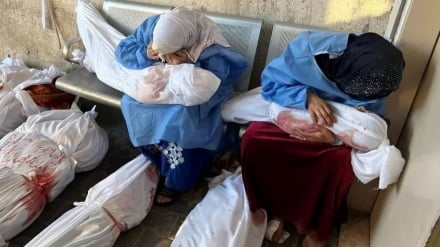 د اسرائیلو تازه  بریدونو کې ۱۰۴ فلسطیني وګړي شهیدان شوي