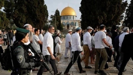 Didukung Tentara Israel, Pemukim Zionis Serbu Masjid Al-Aqsa