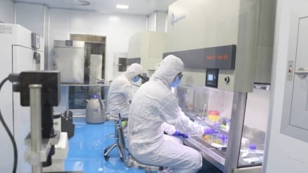 חיסון איראני למחלת הפה והטלפיים: תוצאה של 5 שנות מחקר של מדעני גרעין