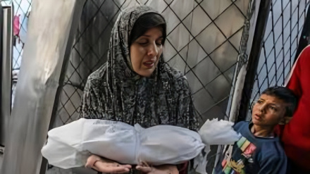 در 24 ساعت گذشته 71 فلسطینی در باریکه غزه به شهادت رسیدند