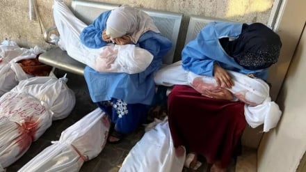 Qəzzada sığınacaqlara və qida paylama sıralarına edilən hücumlarda 24 fələstinli şəhid olub