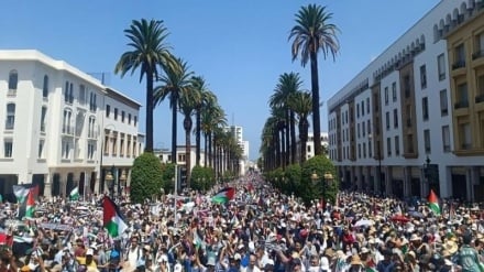 Mass rally in Morocco in support of Gaza