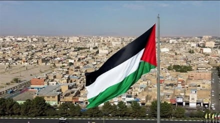 موج جدید به رسمیت شناختن فلسطین در اروپا؛ فرانسه پیشرو در کنفرانس سازمان ملل