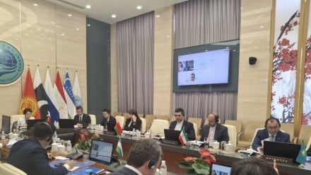 SCO member states stress strengthening multilateral media diplomacy and countering disinformation