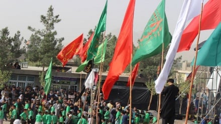 عاشورا در هرات؛ روایتی از عشق، ایمان و مسؤولیت