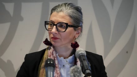 Sa kompani ndërkombëtare janë të përfshira në gjenocidin në Gaza?