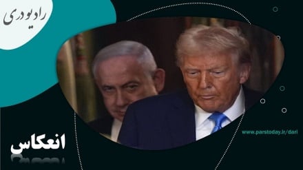 بیانیه علما و دانشمندان کشورهای اسلامی درباره درخواست محاکمه ترامپ و نتانیاهو