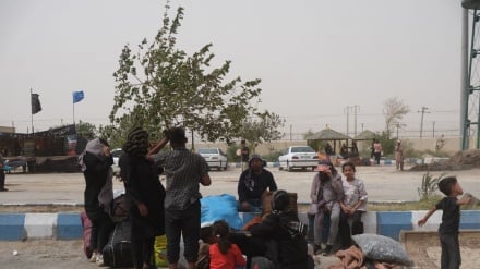 ادامه روند بازگشت اتباع غیر مجاز، آغاز مجدد فعالیت شرکتهای تولیدی در هرات و رد شایعات دستورهای جدید وزارت داخله