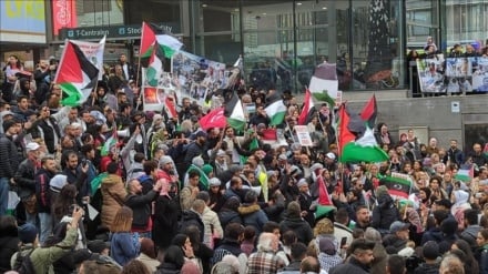 В Швеции прошли массовые демонстрации против преступлений сионистского режима в секторе Газа
