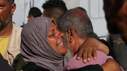 د فلسطین د شهید شویو کسانو بشپړه فهرست خپور شو