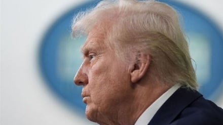 Risposta alla domanda del giorno: la Generazione Z in America si è allontanata da Trump?