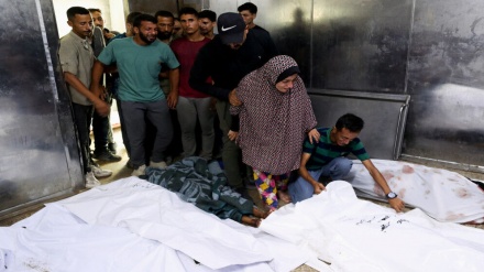 وزارت بهداشت فلسطین: 88 فلسطینی در 24 ساعت گذشته در باریکه غزه شهید شدند   