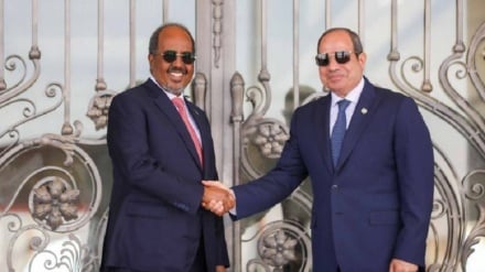 Marais wa Misri na Somalia wakutana huku Cairo ikitafuta washirika wa kukabiliana na Ethiopia