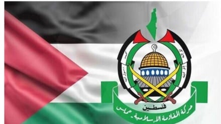 حماس  به طرح آتش بس پاسخ مثبت داد