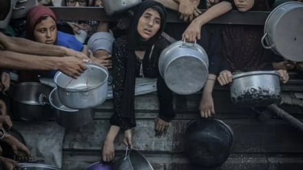 خبرنگار فلسطینی: ما همه در حال مردن هستیم؛ فاجعه گرسنگی در غزه به روایت چند تصویر