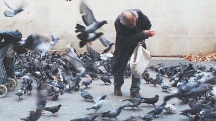 Un versetto; Resta onesto e benefico, nella difficoltà e nella prosperità!