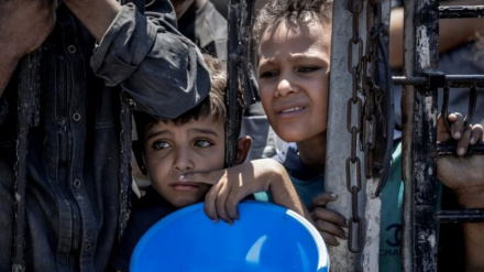 International organization: Famine in Gaza is deliberate and man-made