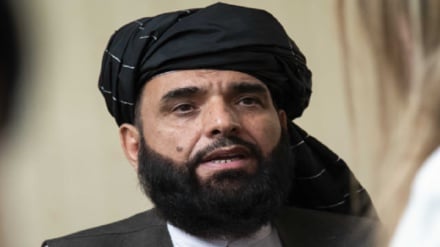 شاهین: امارت اسلامی این‌بار در میدان سیاسی نیز پیروز شد