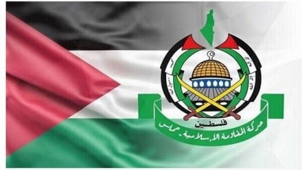 حماس طرح جدید آتش بس را از مصر و قطر دریافت کرد  