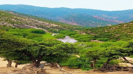 رویداد ترافیکی در نورستان؛ شش گردشگر داخلی مجروح شدند