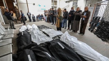 Serangan Terbaru Tentara Israel Gugurkan Puluhan Warga Gaza