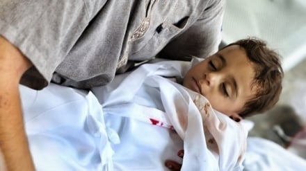 ¿Cuántos niños mueren cada día en Gaza?