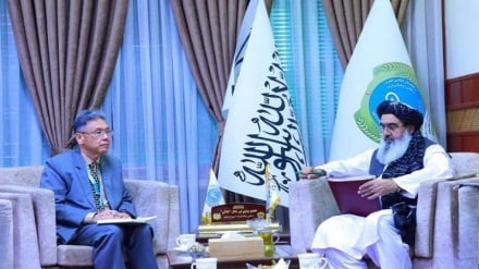 دیدار وزیر صحت عامه حکومت طالبان با رئیس سازمان صحی جهان در افغانستان