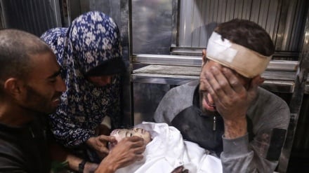 د لوږې او خوارځواکۍ له امله په غزه کښې ۲۱۷ تنه شهیدان شوي