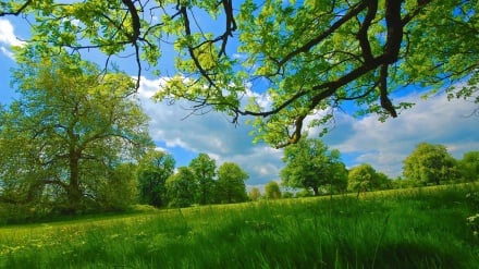 رسم زندگی_پنجشنبه_3_7_404