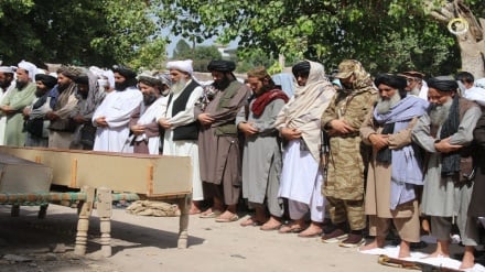 بازداشت چند تن از عاملان قتل شش عضو یک خانواده در ننگرهار