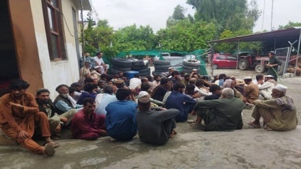 ننګرهارکې لسګونه روږدې کسان راټول او د درملنې په موخه کابل ته واستول شول